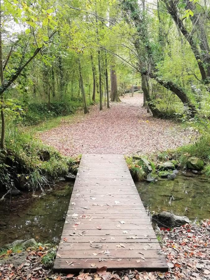 Apartament Natura Amb Calma Olot Esterno foto